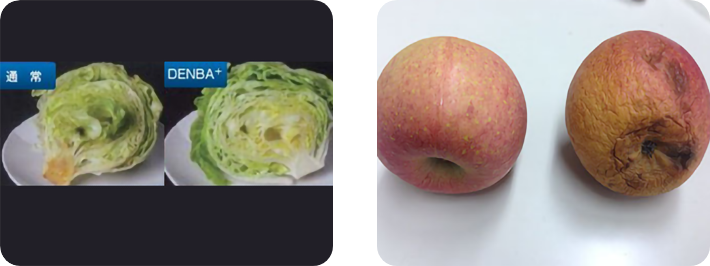 DENBAを使った比較画像
