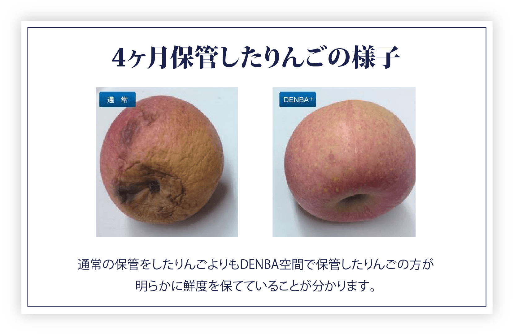 u7bGNZN5rJANVtqHysY7Y6aQ20kk2eJ7z3nU2B66.pngりんご